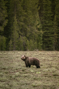 dsc03840 enhanced nr