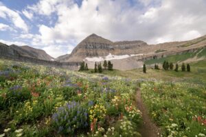 josifrommeltxmountainamerica 1 7