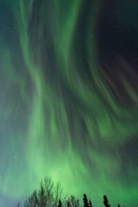 popflyxjosifrommelt 1