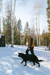 popflyxjosifrommelt 18