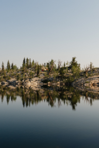 popflyxjosifrommelt 7.webp