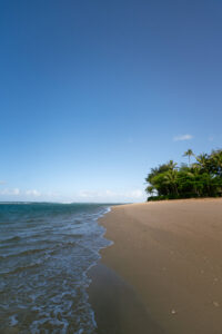 popflyxjosifrommelt 9